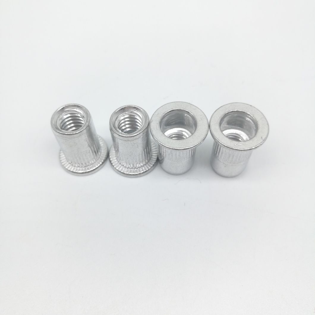 Flat Head Round Body Rivet Nut In Stock